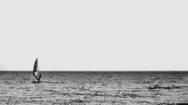 Windsurfer