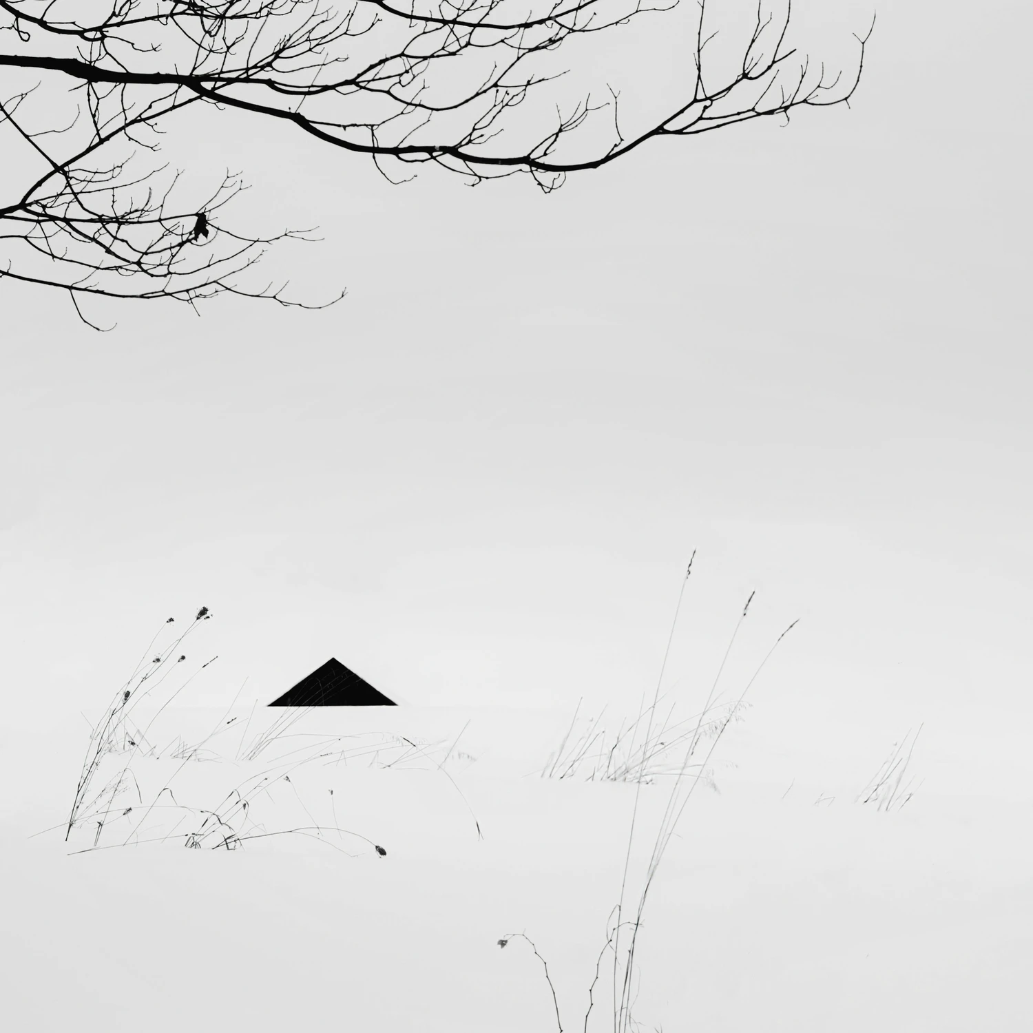 Zima z perspektywy małych zwierząt futerkowych