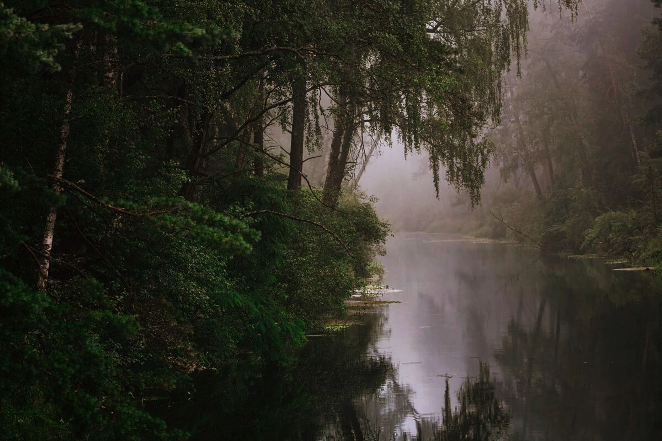Nad Brdą w Borach Tucholskich