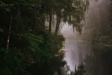 Nad Brdą w Borach Tucholskich