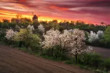 Ognisty świt nad Starým Poddvorovem