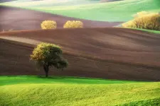 Ukryty klejnot
