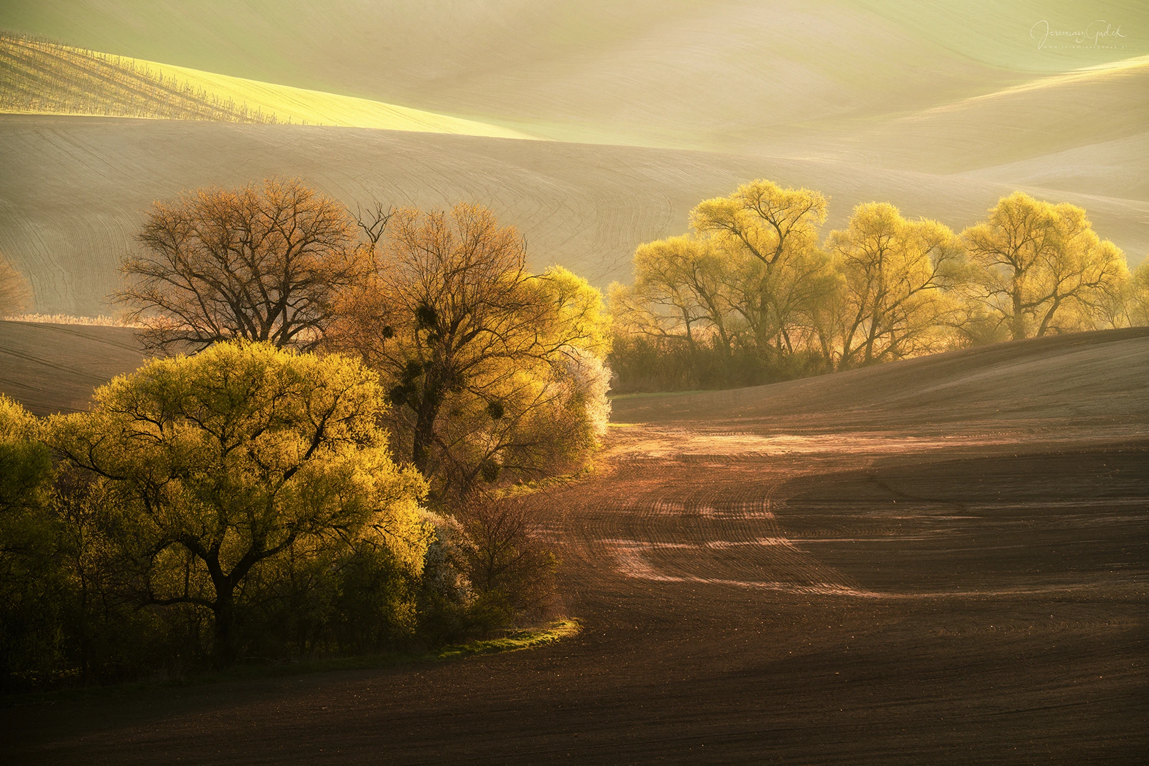 Przedsmak zielonego sezonu