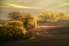 Przedsmak zielonego sezonu