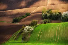 Ukryte między wzgórzami