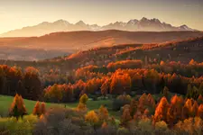 Złoty oddech jesieni