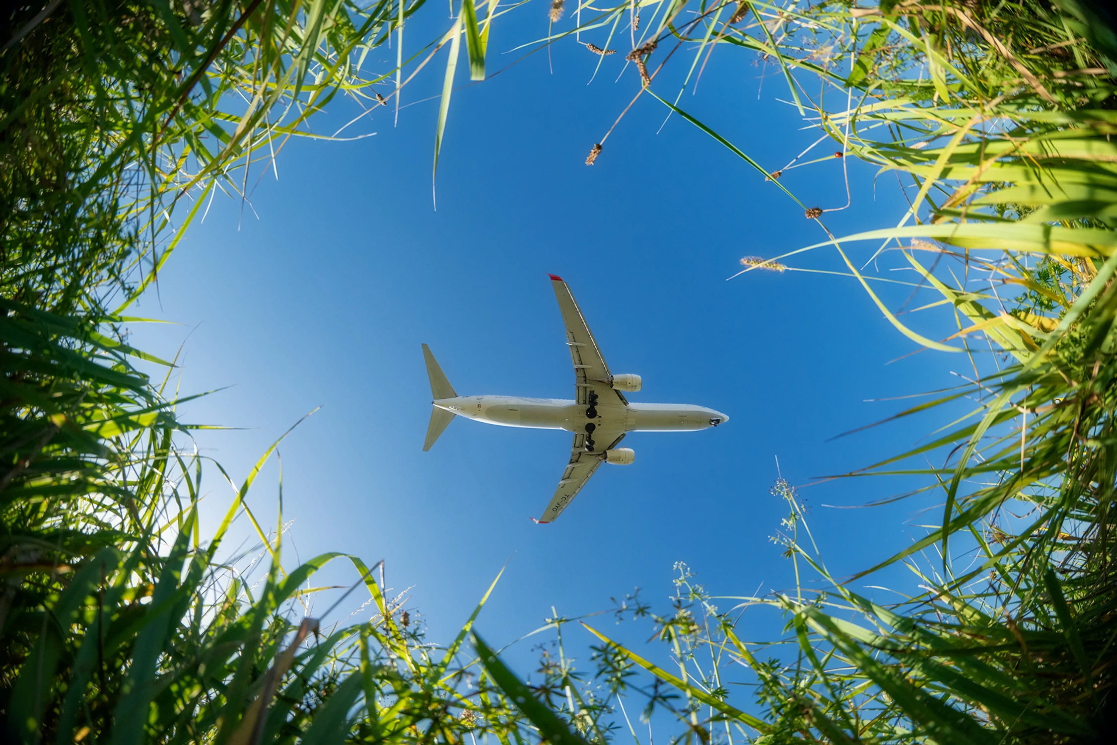 Final Approach