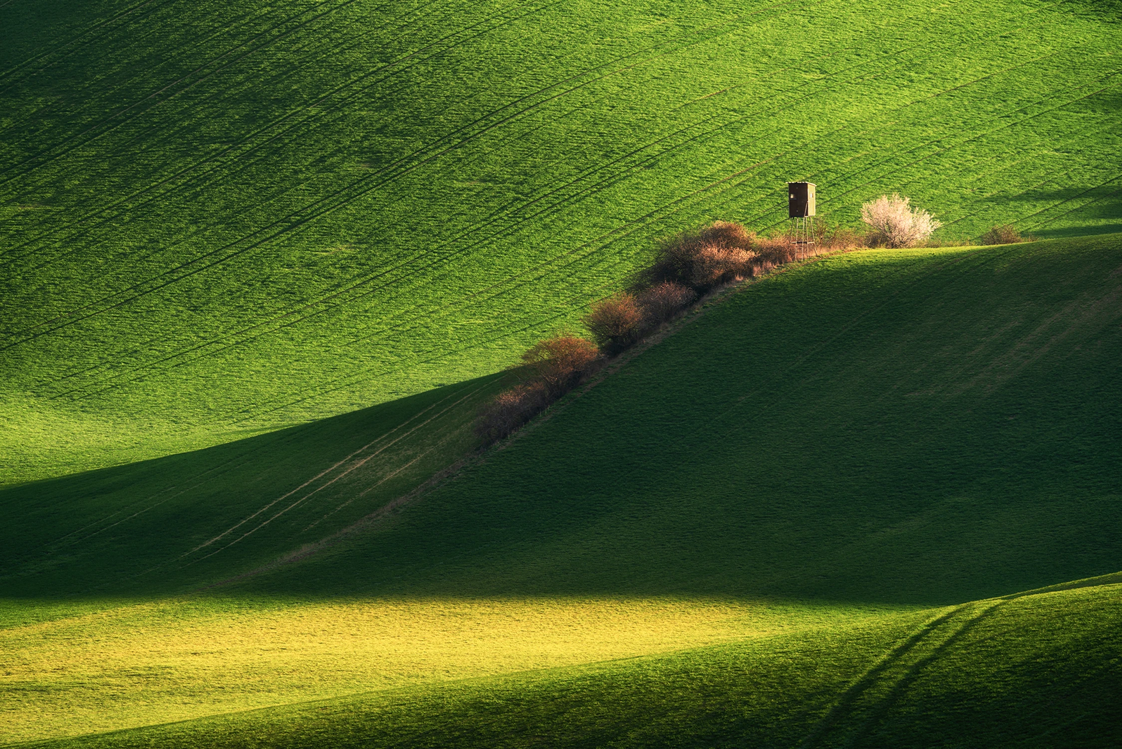 Na granicy światła