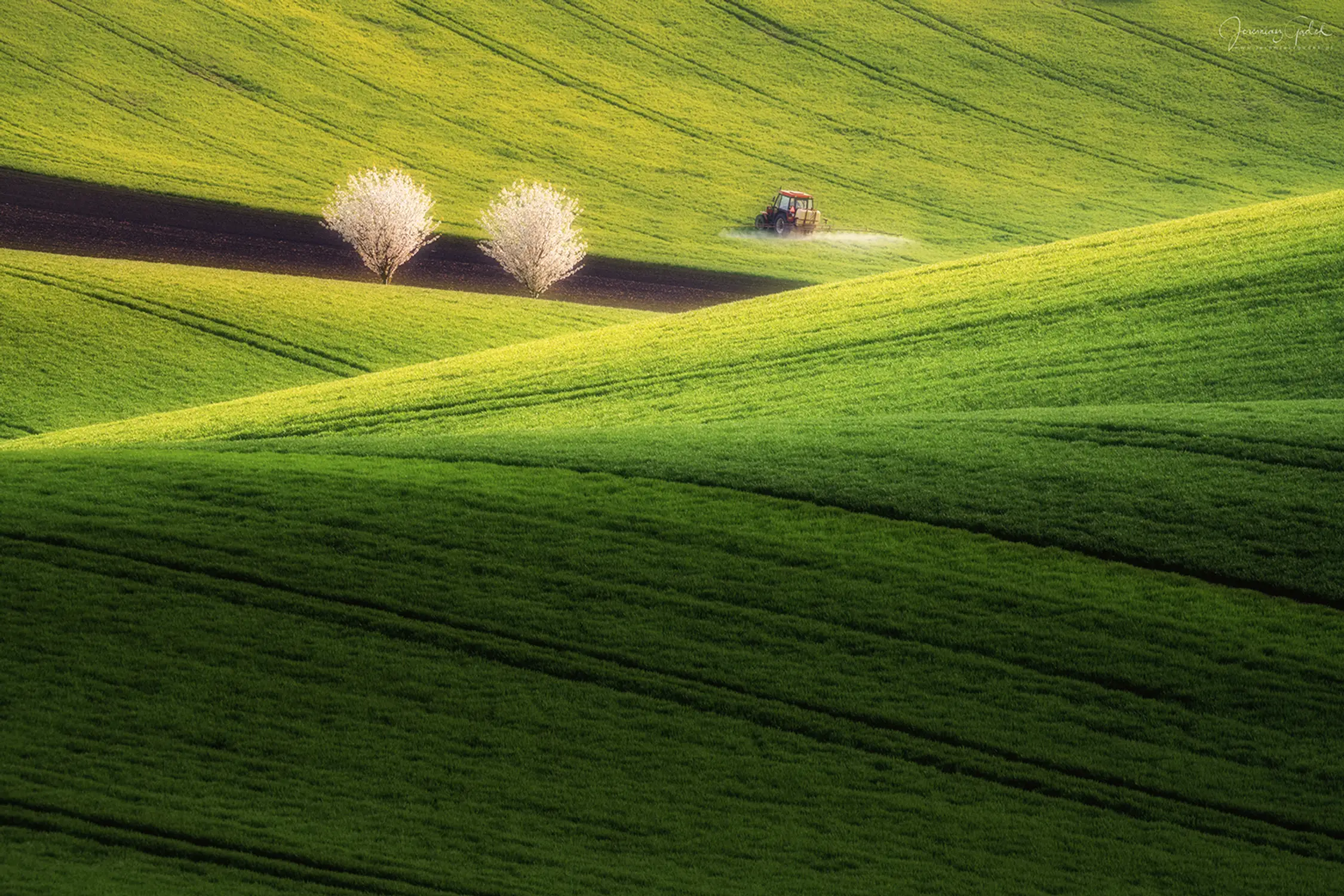 Strażnicy urodzaju