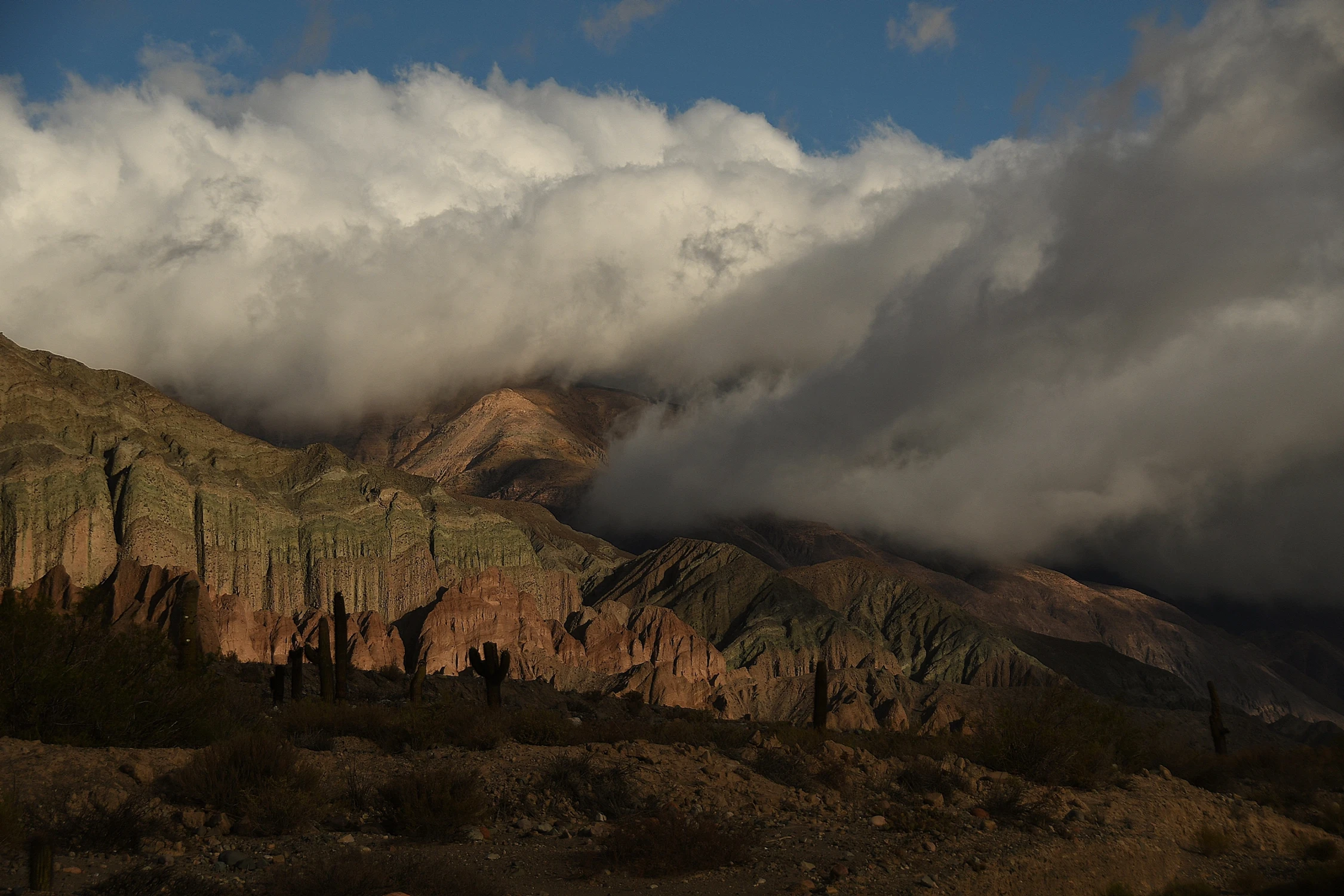 Parque National los Cardones