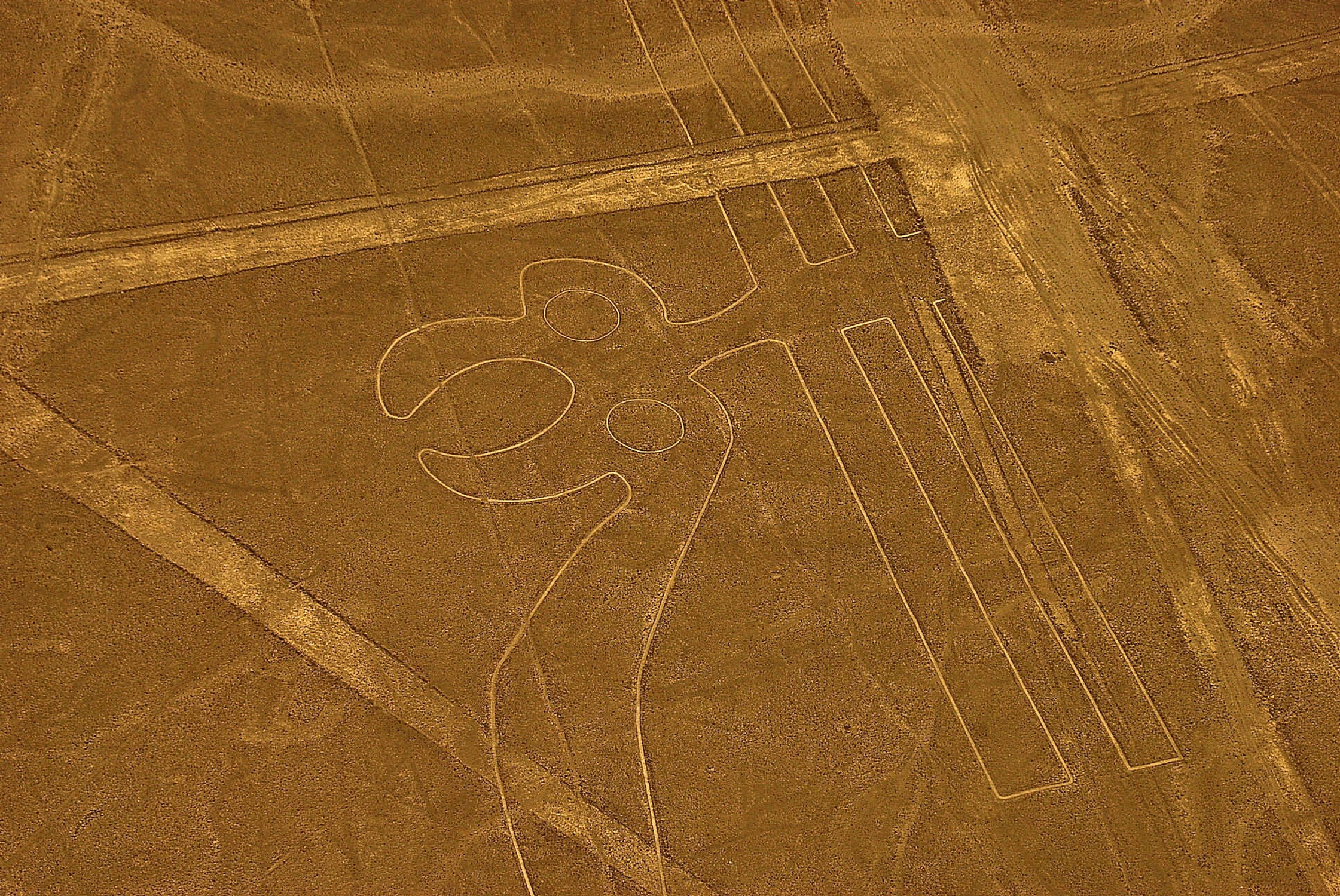 Rysunki z Nazca
