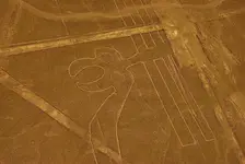 Rysunki z Nazca