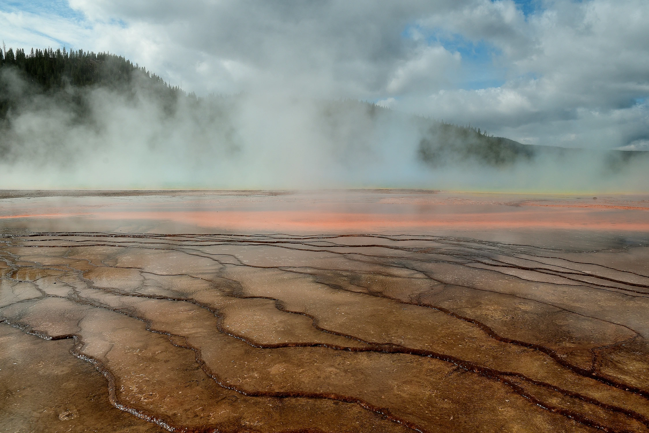 W Parku Yellowstone