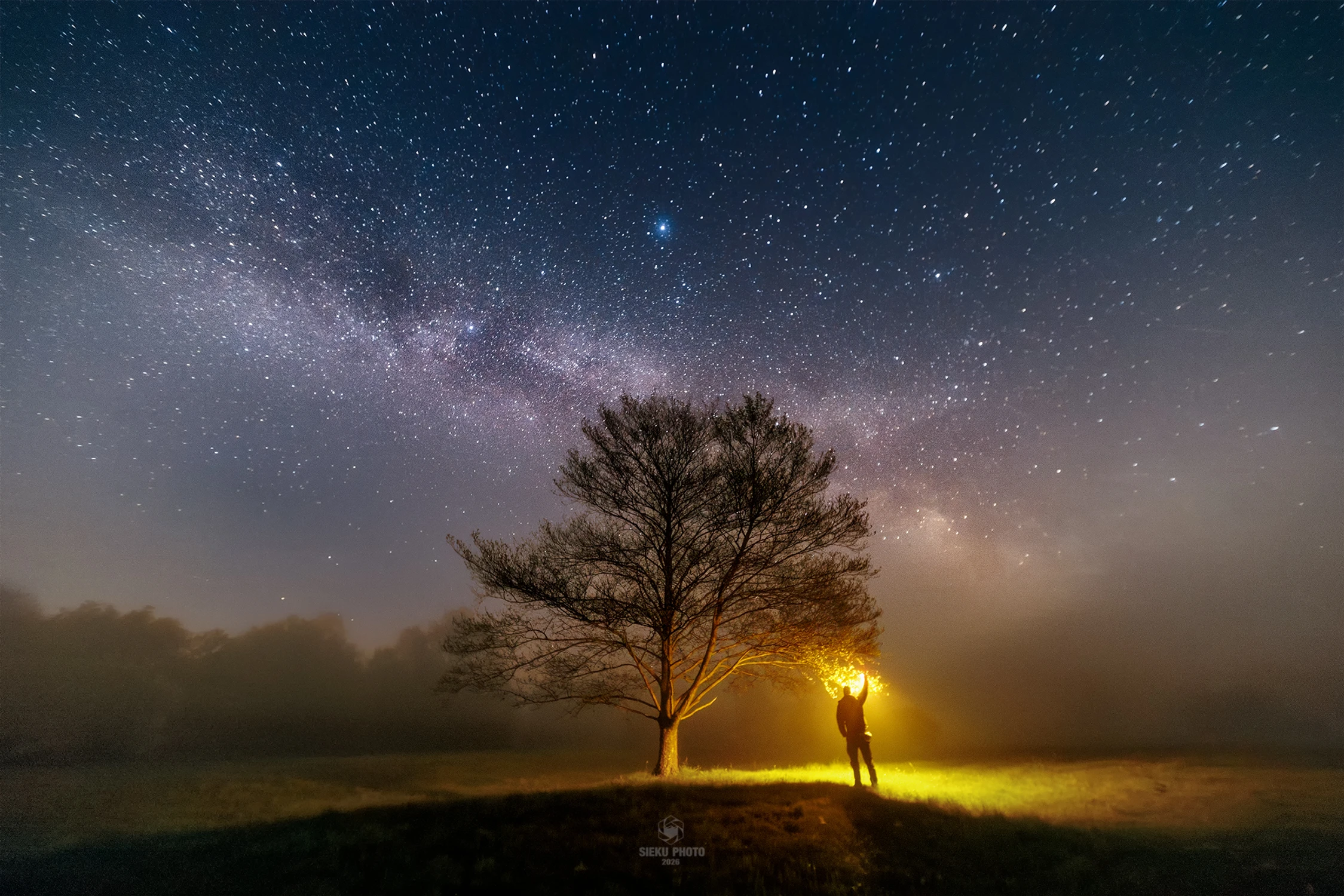 Stars 
