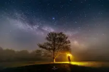 Stars 