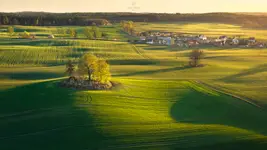 Wiosna 
