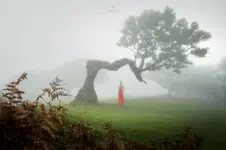 Madera