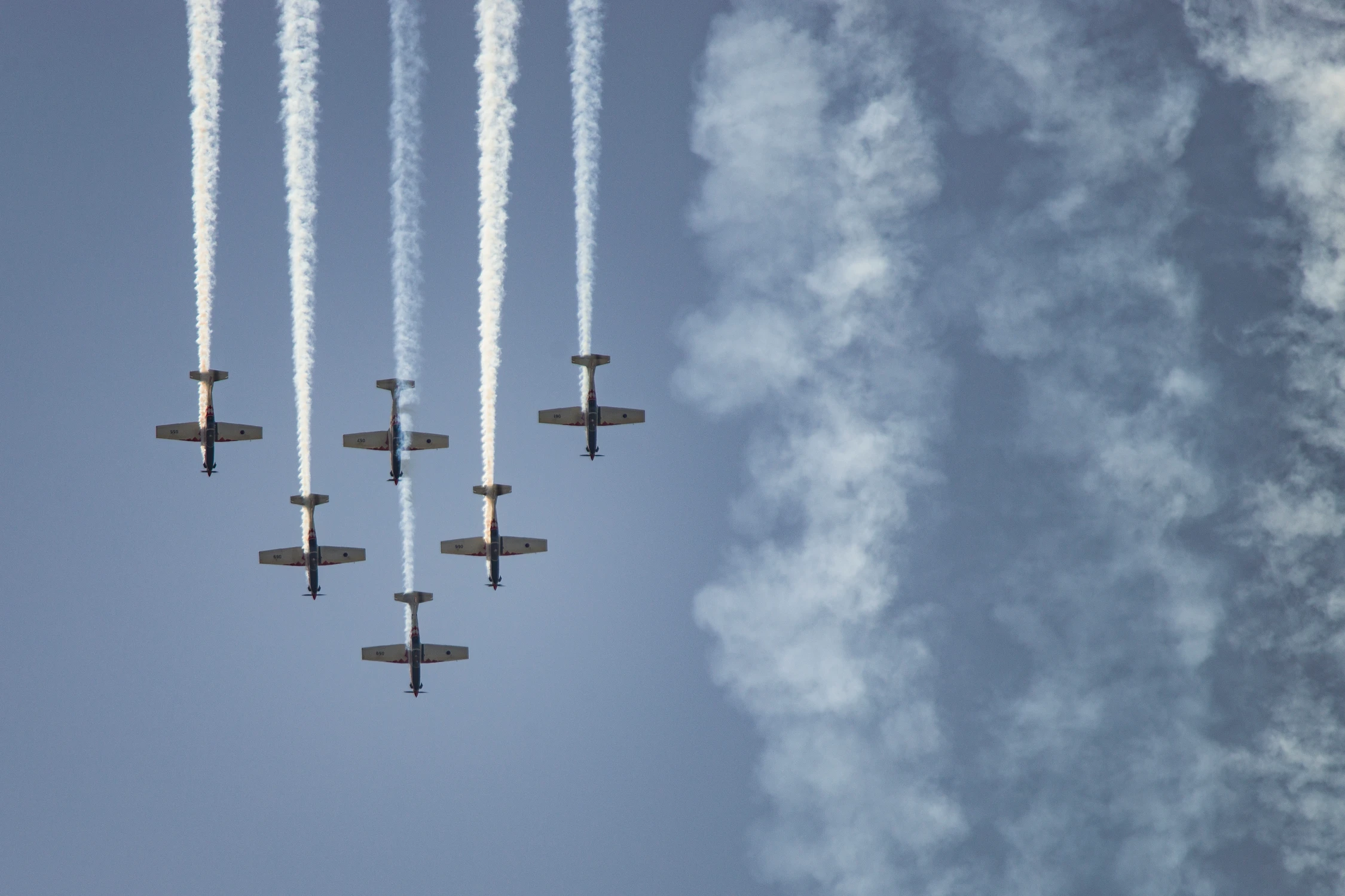 Wings of Storm