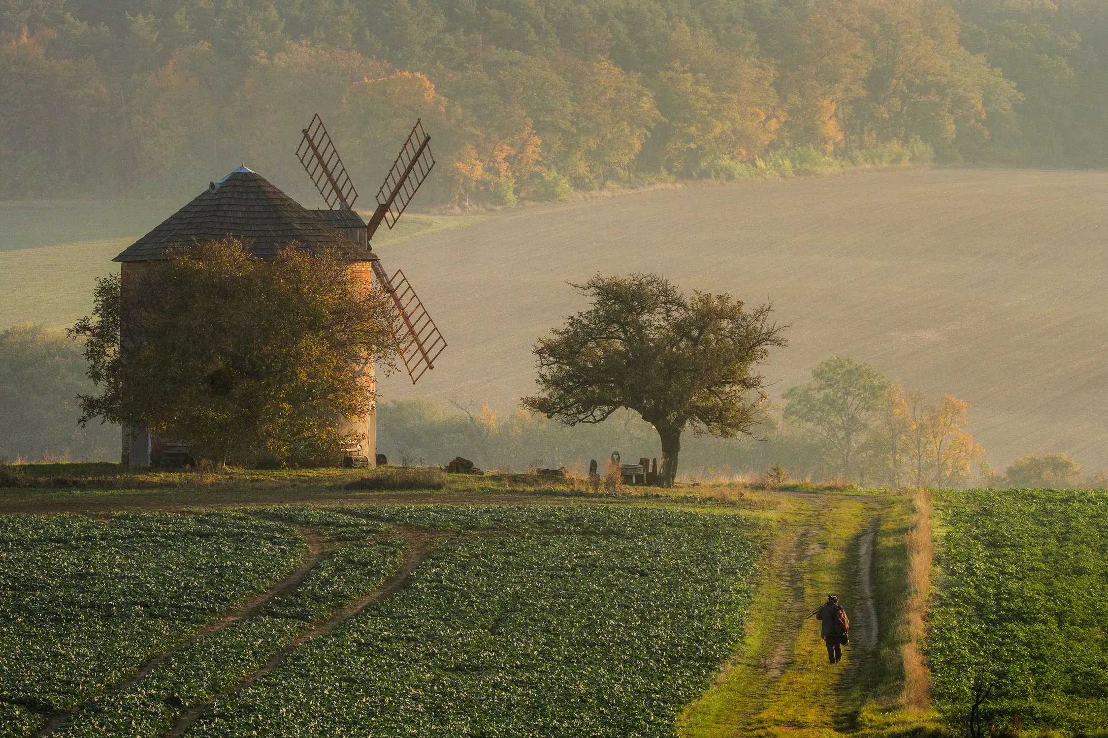 Jesień w Kunkovicach