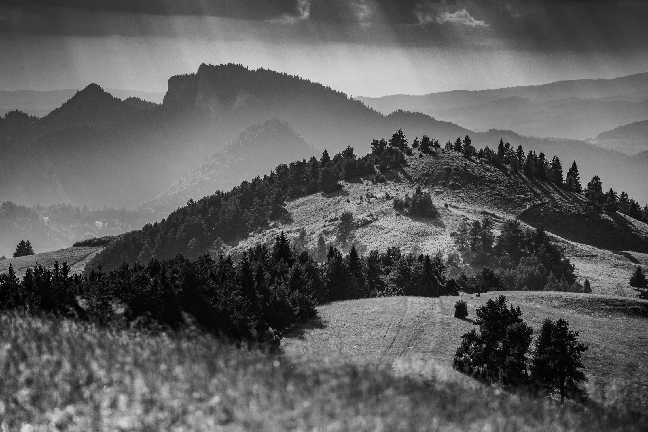Widok z Durbaszki