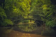 Popołudniowy spacer po Pszczynie