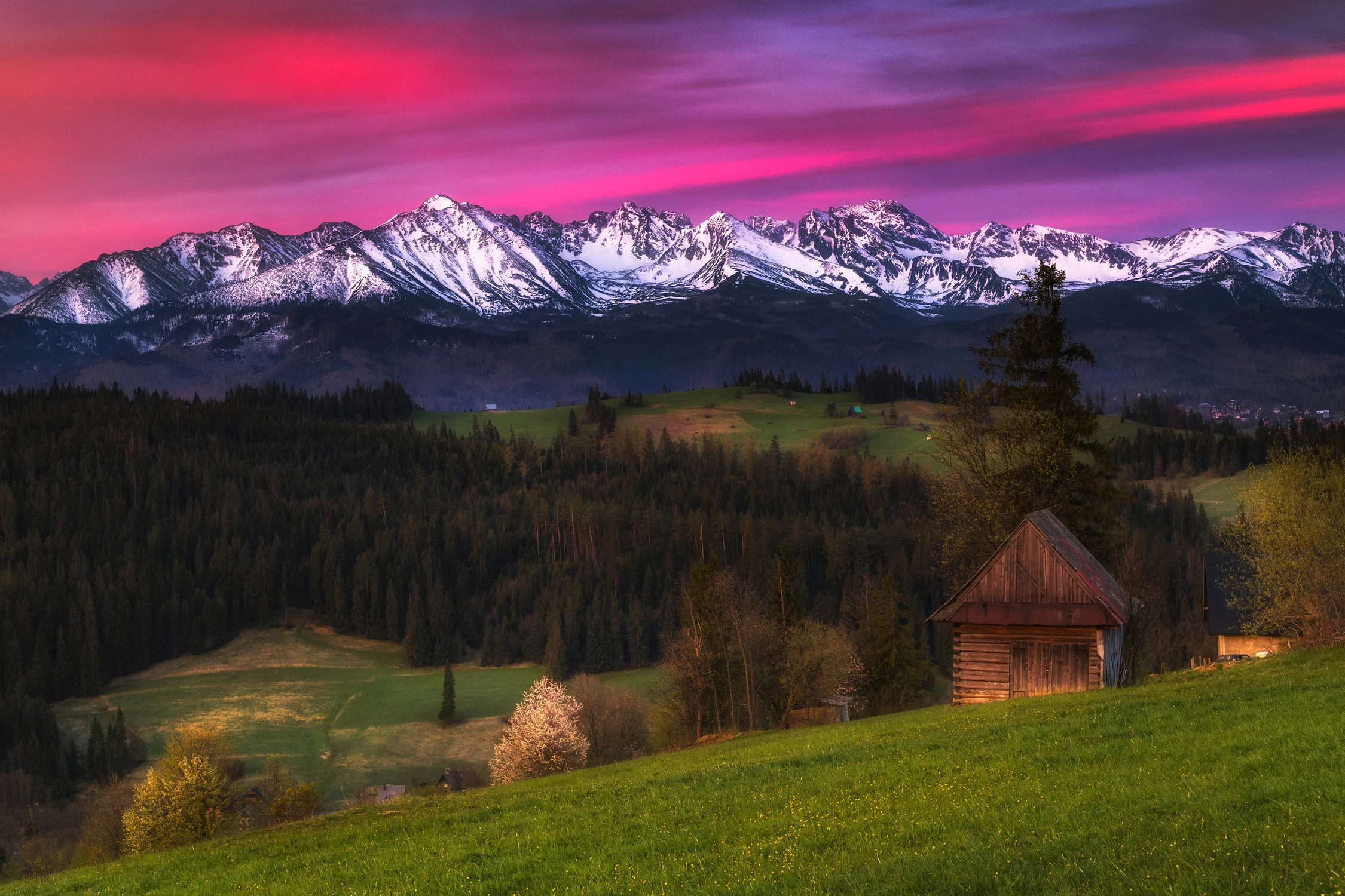 Widok na Tatry