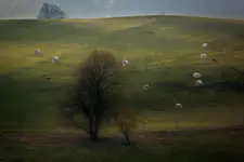 -