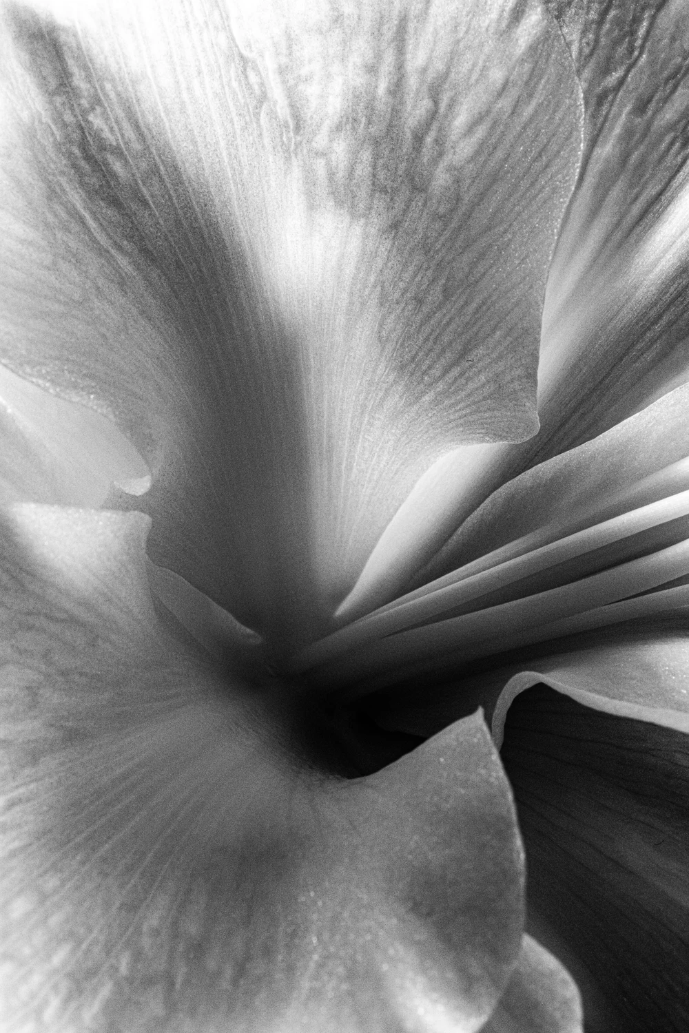 Wygibasy abstrakcyjne 1