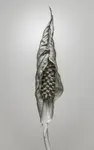 Spathiphyllum w przekwicie.