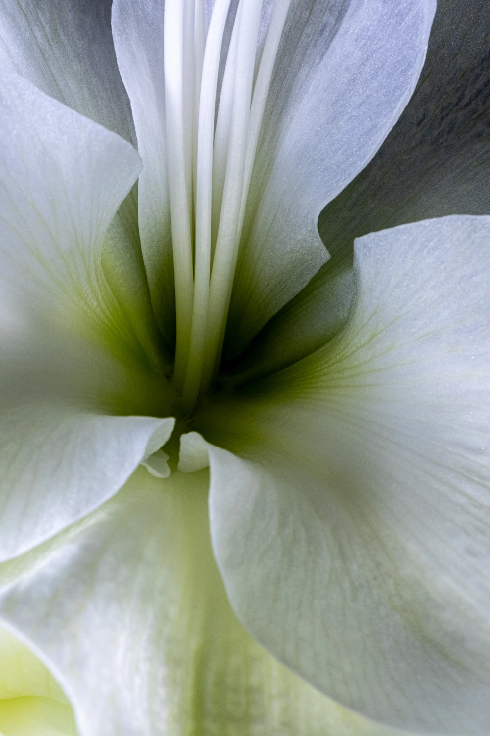 Springs and Fountains...