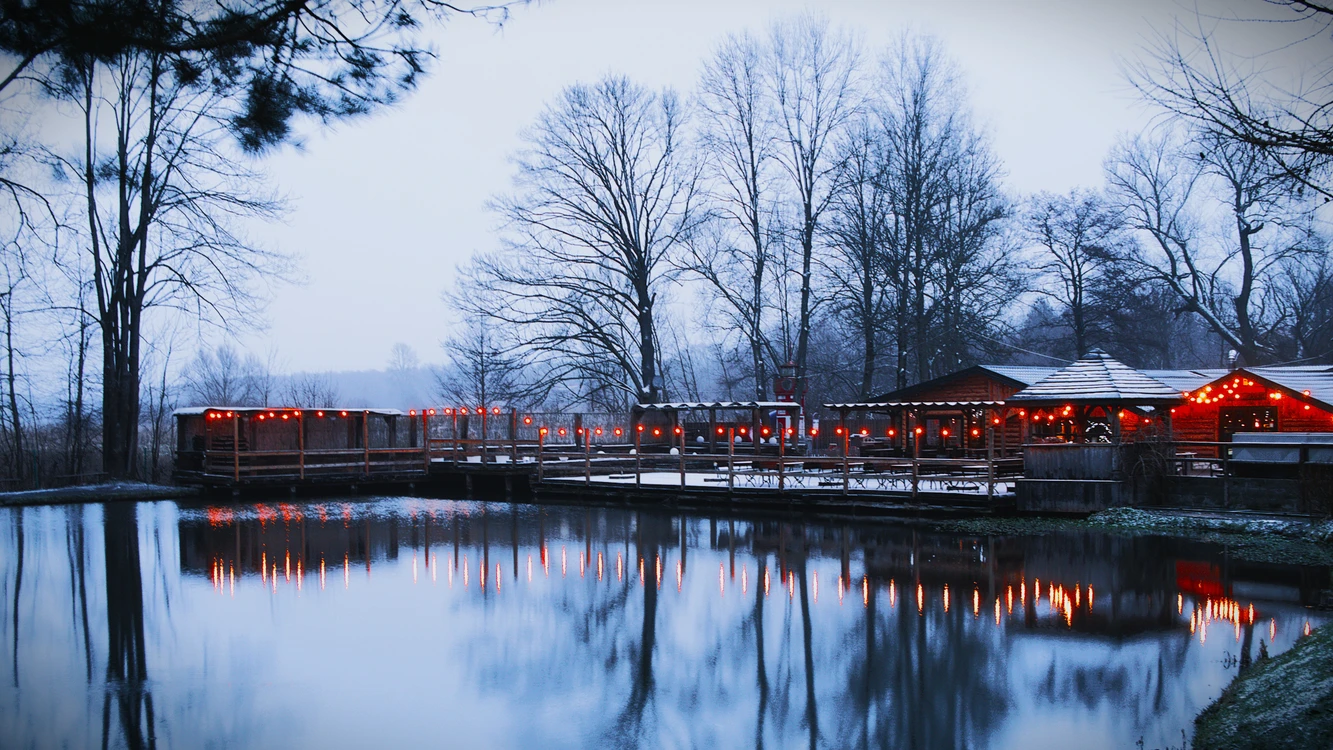 TomaszOzga