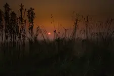Poranek