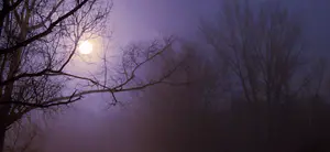 "księżycowa mgła"