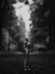 A.I.+