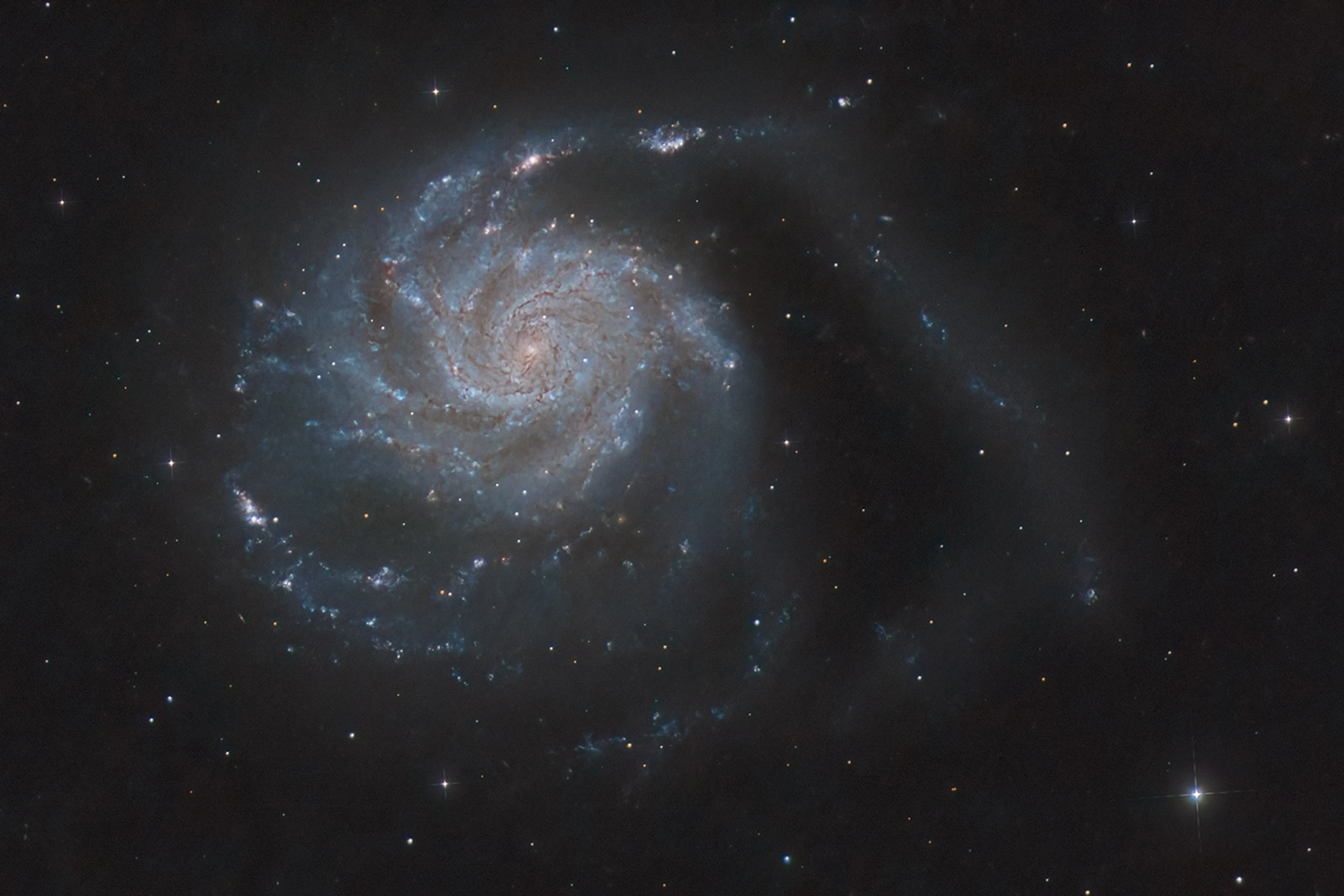 Galaktyka M101