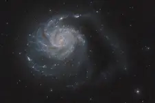 Galaktyka M101