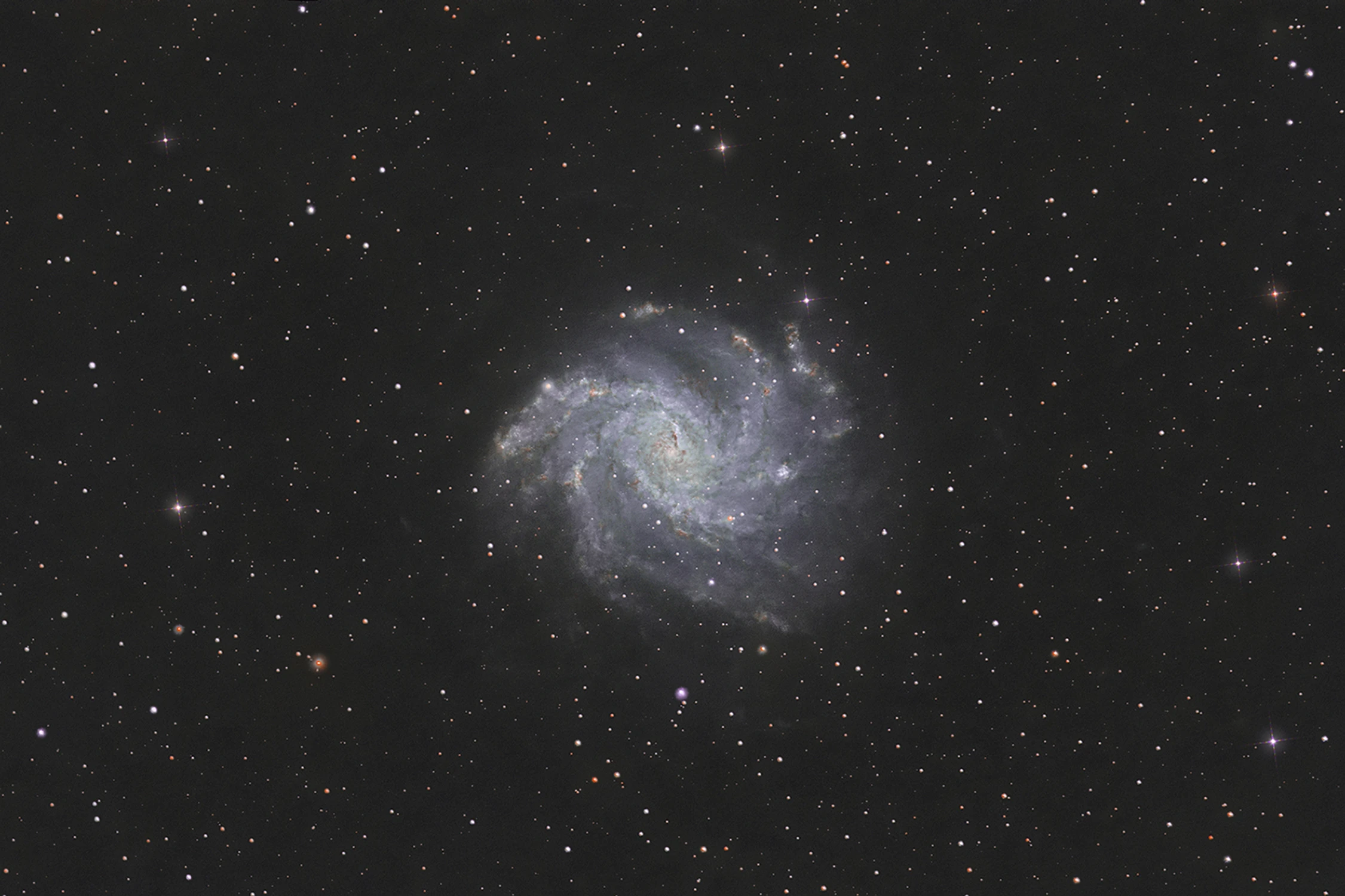 Galaktyka NGC 6946