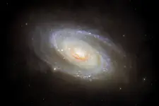 Galaktyka M81