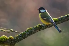 Ciepłe Pożegnanie Sezonu