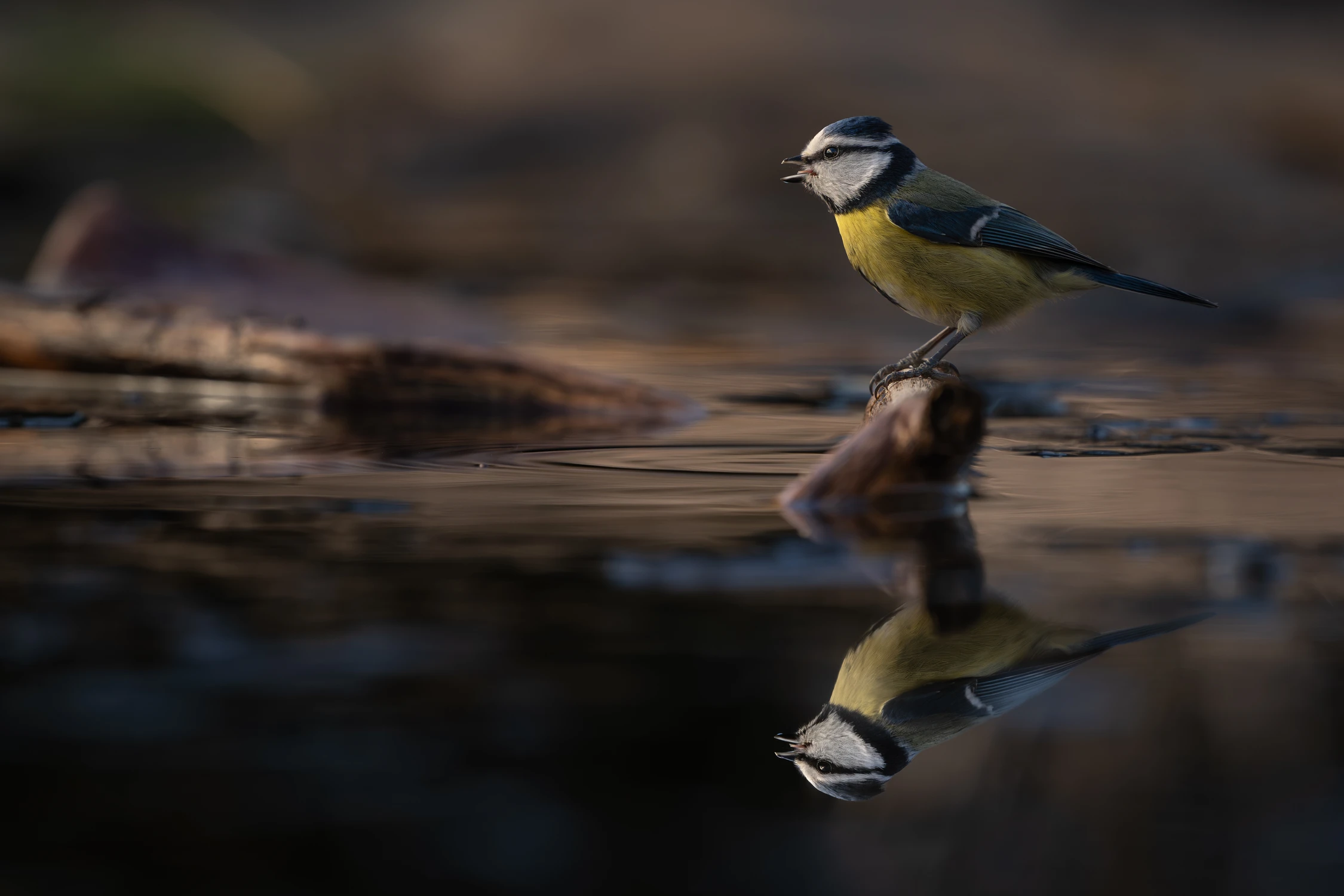 Lustereczko, powiedz przecie...