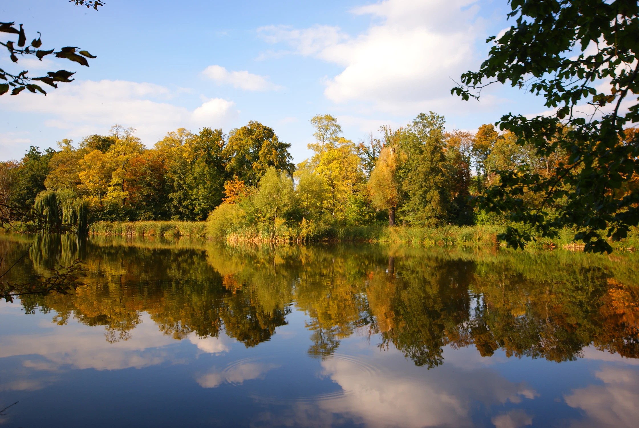 Park Sołacki