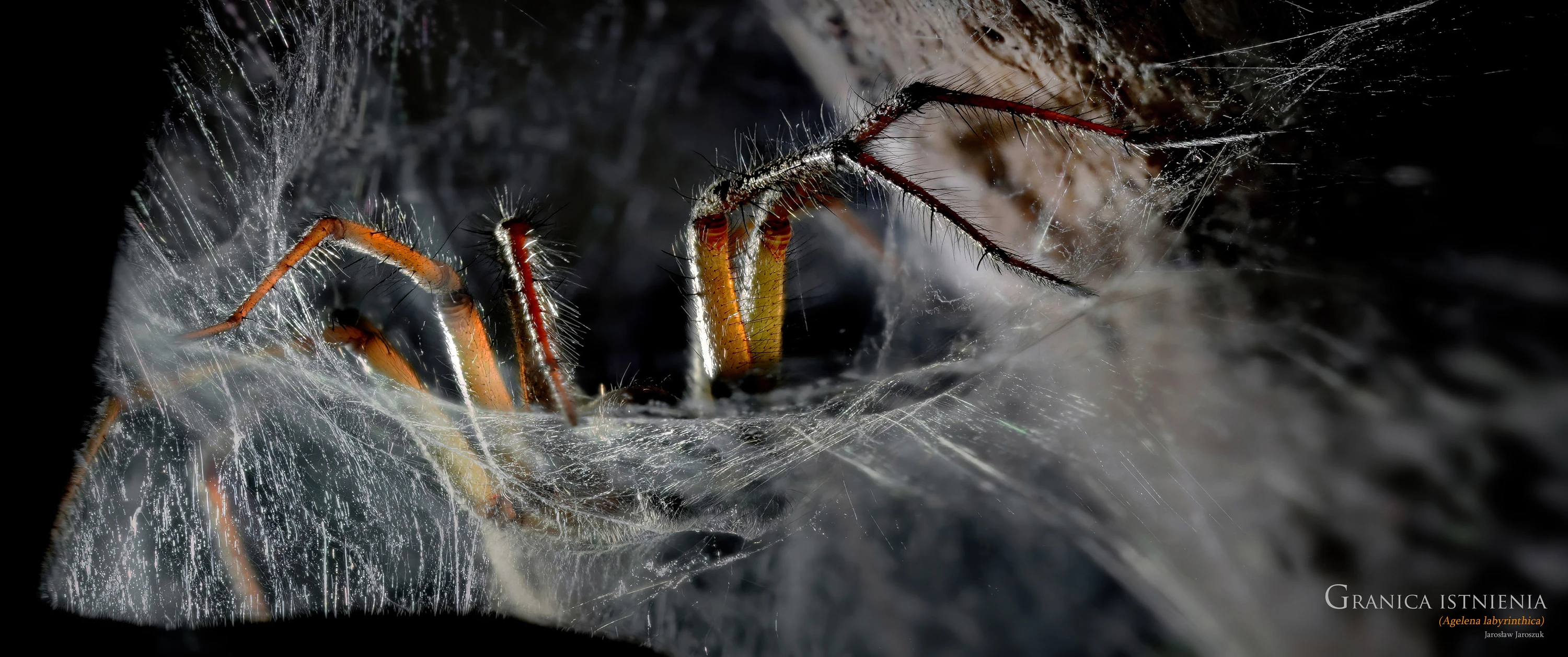 GRANICA ISTNIENIA 