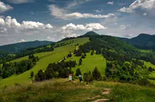 PIENINY