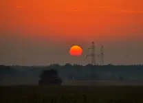 Zaplątane w "sieci"