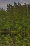 Świat do góry nogami 