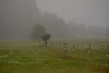 Poranek