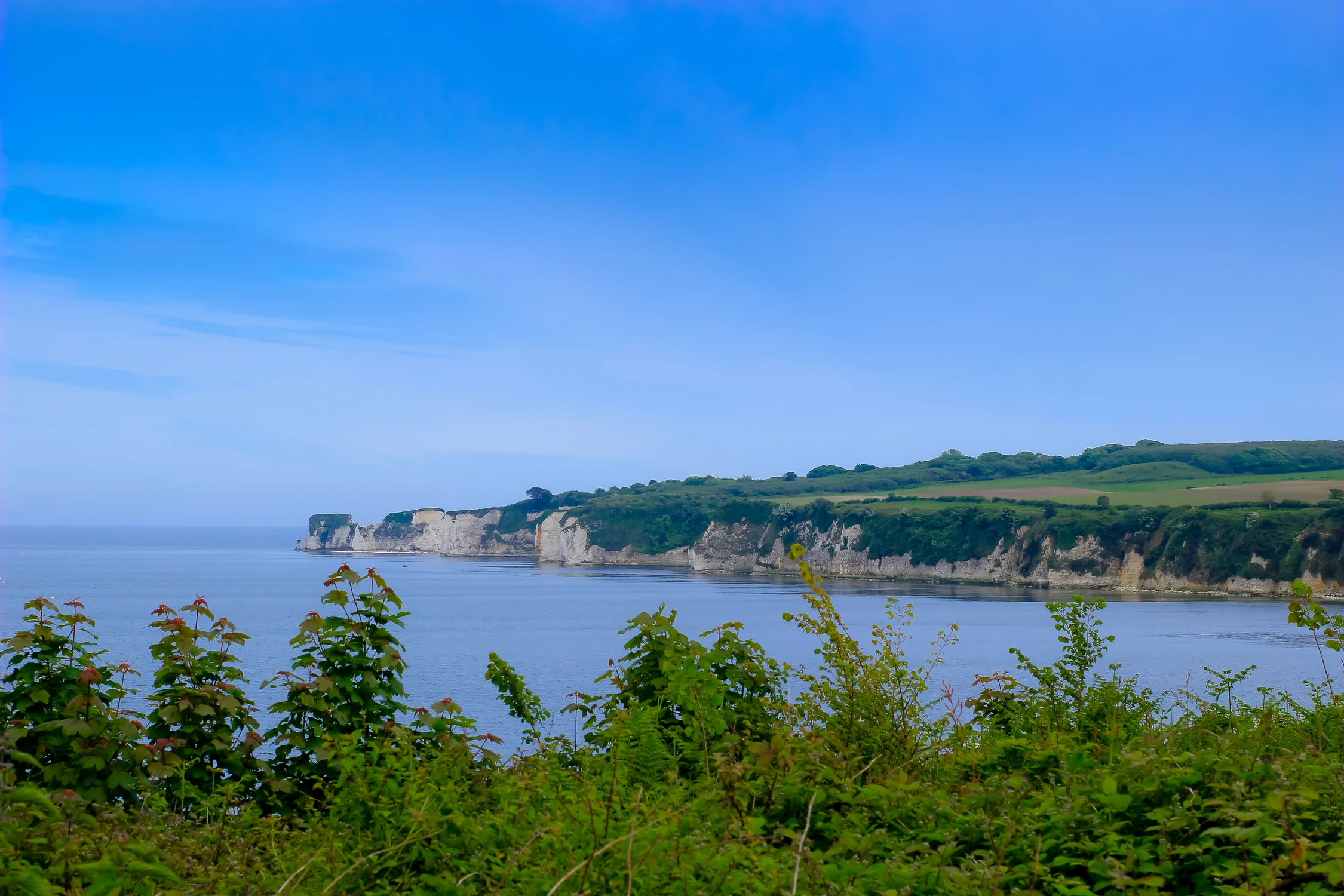 Old Harry Rocks! 