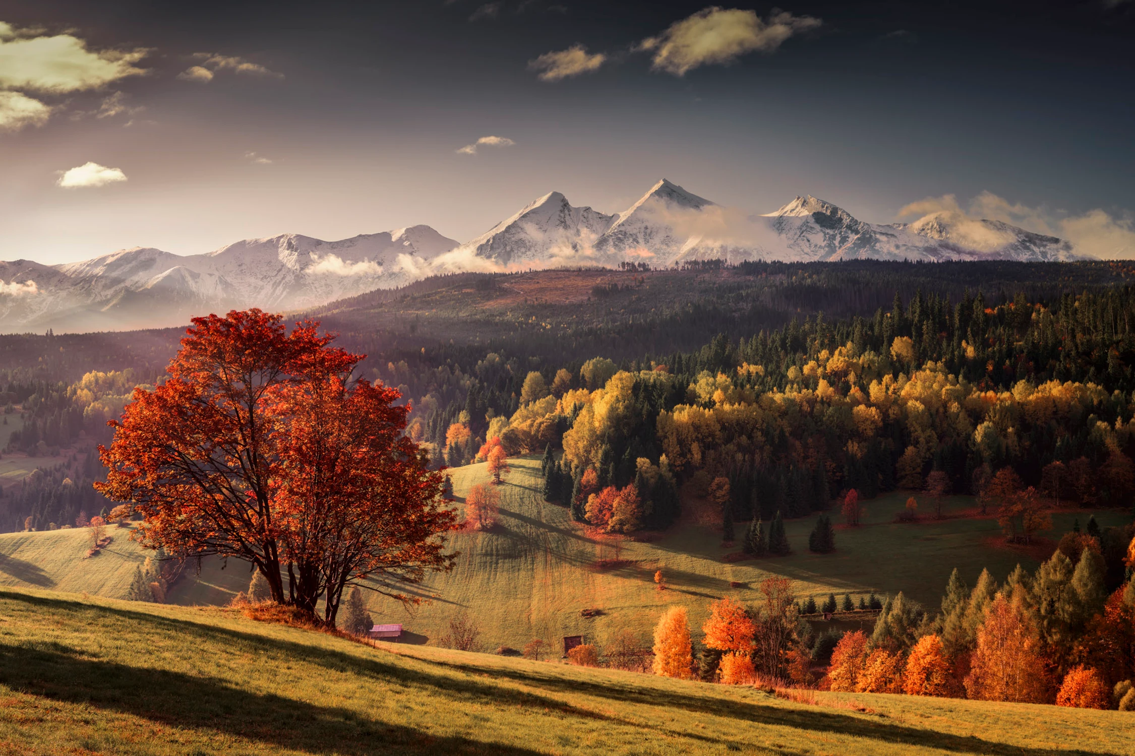 Osturnia i wspomnienie jesieni