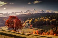 Osturnia i wspomnienie jesieni