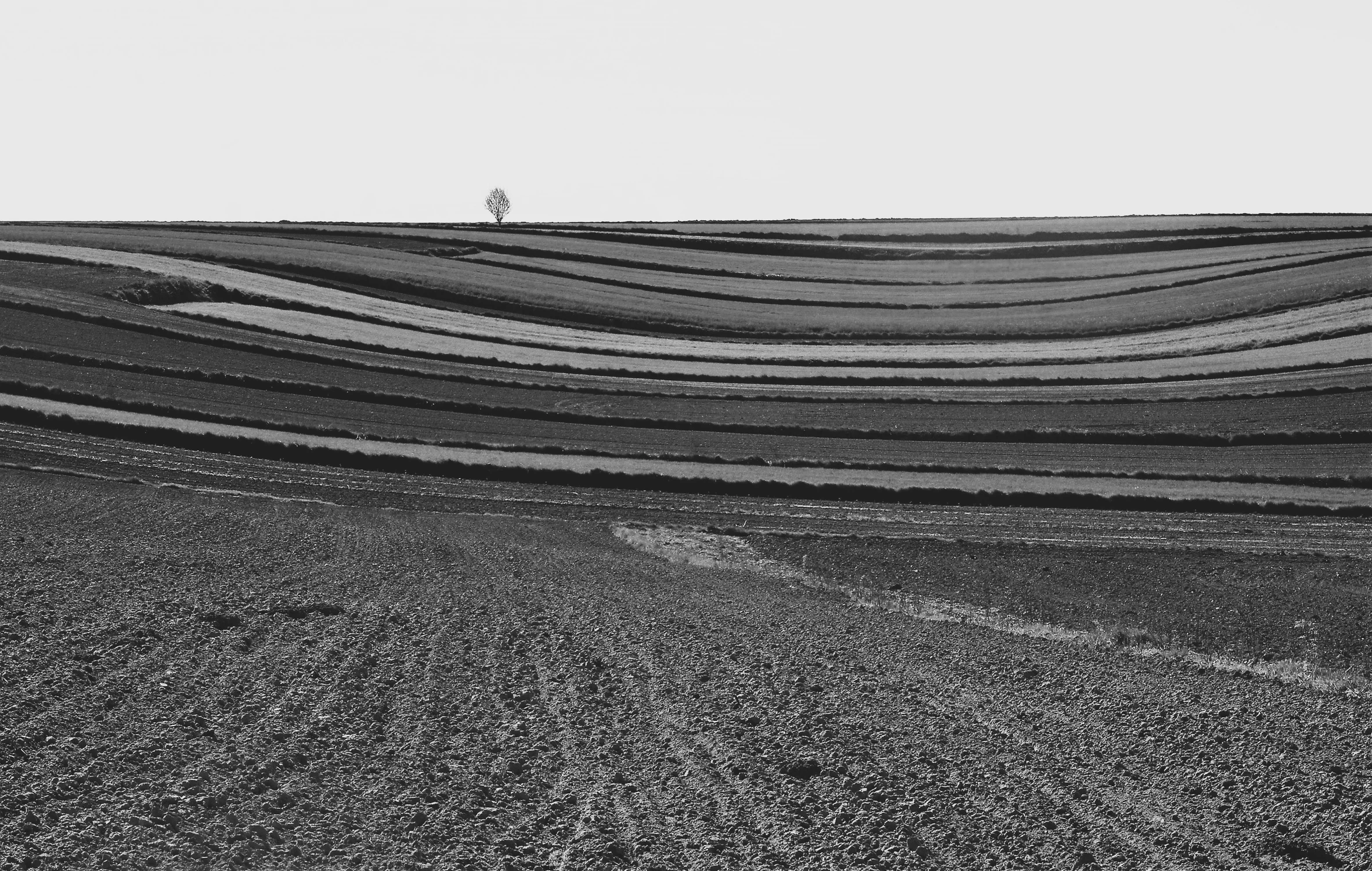 Roztoczańskie pasiaki